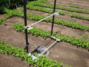 Future Technology: Wireless Sensor Networks