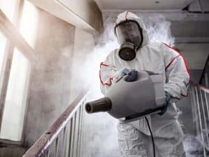 Services of Pest Control Companies