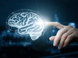 Improving Cognitive Function: Brain Wellness
