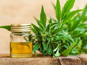 CBD and Brain Health